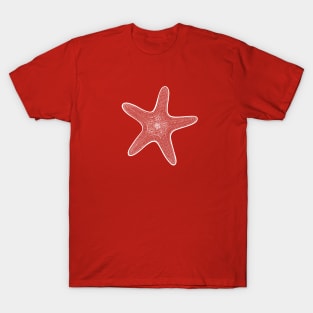 Sea Star or Starfish - detailed marine animal drawing T-Shirt